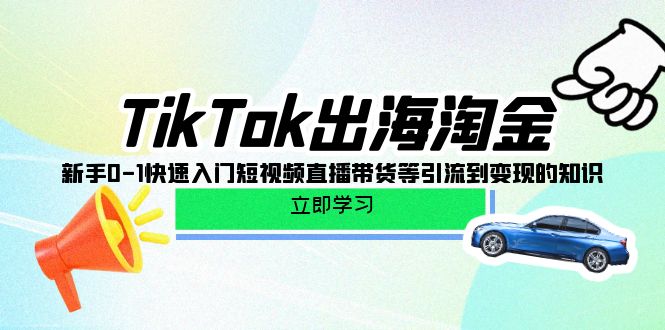 （10035期）TikTok-出海淘金，新手0-1快速入门短视频直播带货等引流到变现的知识-木木源码网