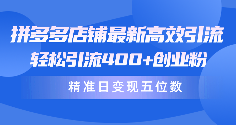 （10041期）拼多多店铺最新高效引流术，轻松引流400+创业粉，精准日变现五位数！-木木源码网