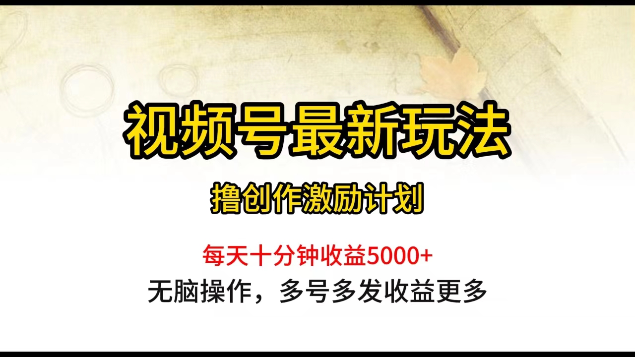 （10087期）视频号最新玩法，每日一小时月入5000+-木木源码网