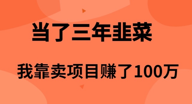 （10149期）当了3年韭菜，我靠卖项目赚了100万-木木源码网