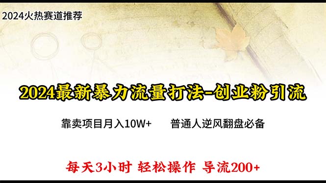 （10151期）2024年最新暴力流量打法，每日导入300+，靠卖项目月入10W+-木木源码网