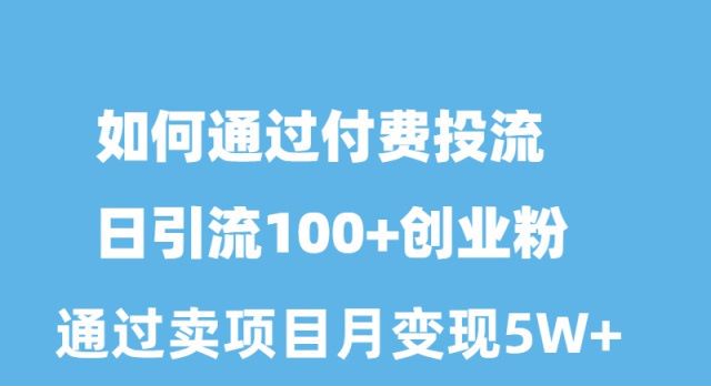 （10189期）如何通过付费投流日引流100+创业粉月变现5W+-木木源码网