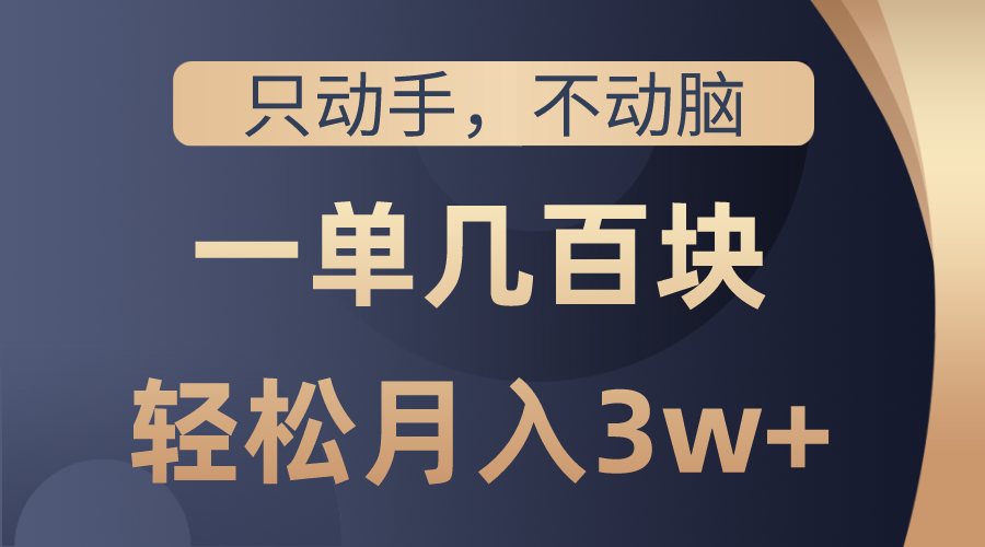 （10561期）只动手不动脑，一单几百块，轻松月入3w+，看完就能直接操作，详细教程-木木源码网