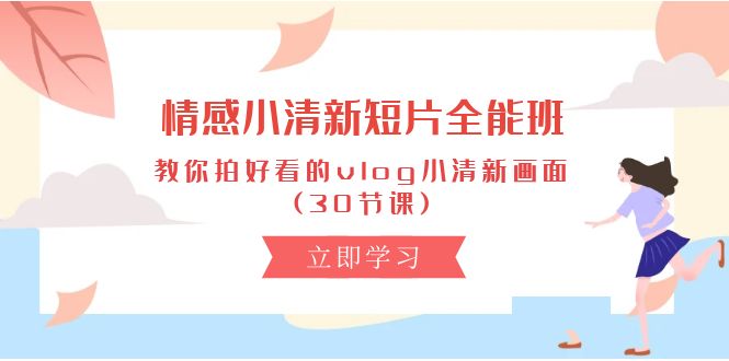 （10567期）情感 小清新短片-全能班，教你拍好看的vlog小清新画面 (30节课)-木木源码网