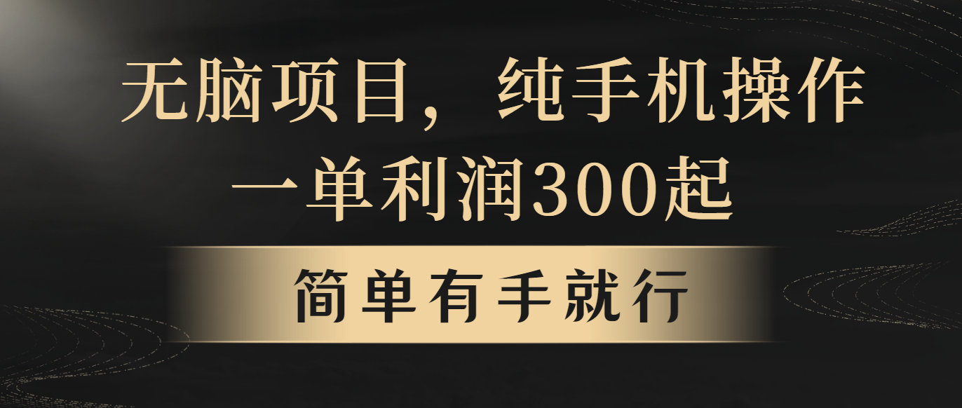 （10589期）无脑项目，一单几百块，轻松月入5w+，看完就能直接操作-木木源码网