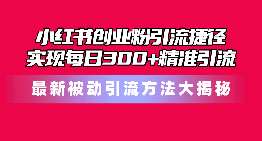 （10692期）小红书创业粉引流捷径！最新被动引流方法大揭秘，实现每日300+精准引流-木木源码网