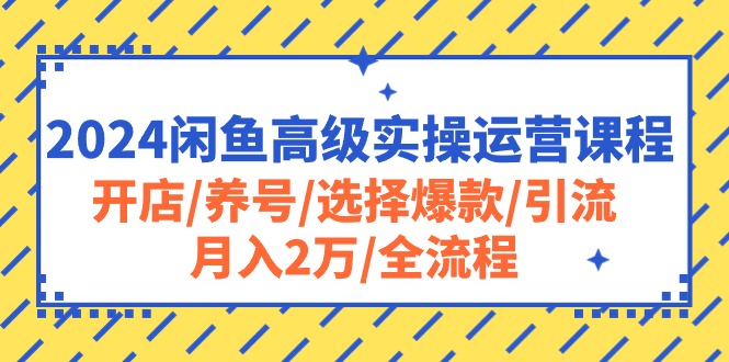 （10711期）2024闲鱼高级实操运营课程：开店/养号/选择爆款/引流/月入2万/全流程-木木源码网