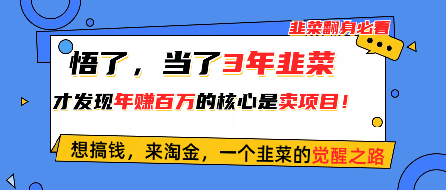 （10759期）悟了，当了3年韭菜，才发现网赚圈年赚100万的核心是卖项目，含泪分享！-木木源码网