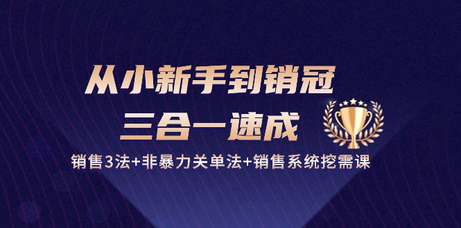 （10799期）从小新手到销冠 三合一速成：销售3法+非暴力关单法+销售系统挖需课 (27节)-木木源码网