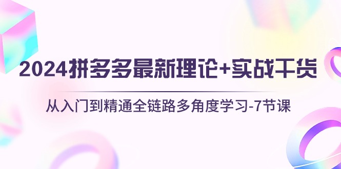 （10816期）2024拼多多 最新理论+实战干货，从入门到精通全链路多角度学习-7节课-木木源码网