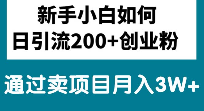 （10843期）新手小白日引流200+创业粉,通过卖项目月入3W+-木木源码网