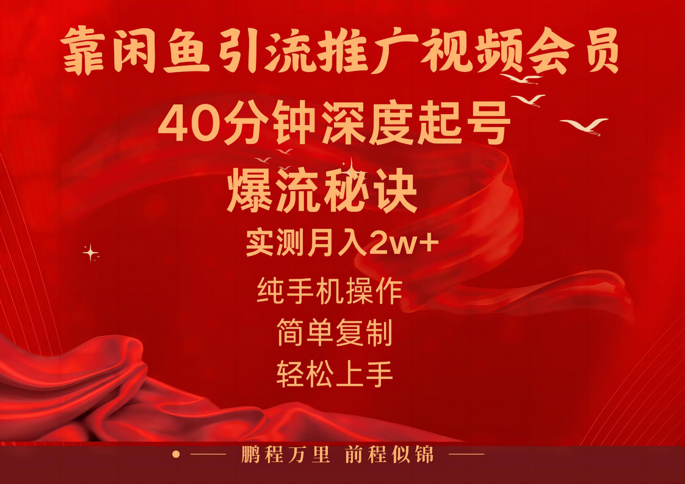 （10896期）闲鱼暴力引流推广视频会员，能做到日入2W+，操作简单-木木源码网