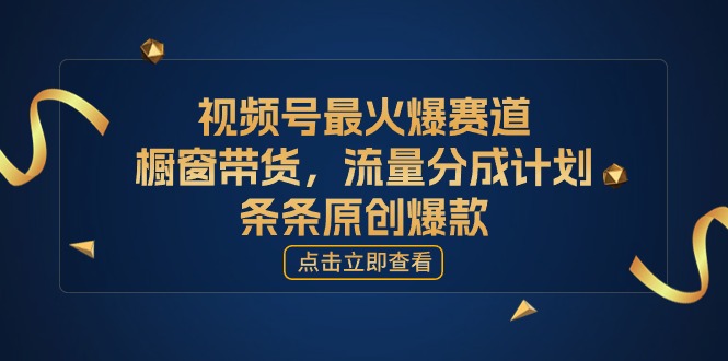 （11009期）[你的孩子成功取得高位]视频号最火爆赛道，橱窗带货，流量分成计划，条…-木木源码网