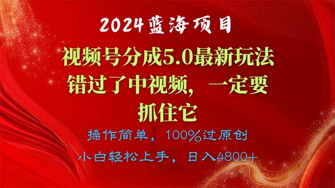 （11032期）2024蓝海项目，视频号分成计划5.0最新玩法，错过了中视频，一定要抓住…-木木源码网