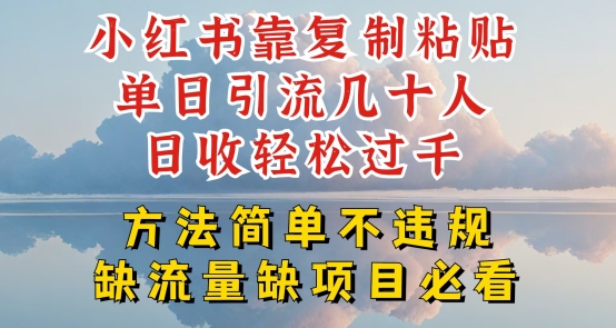 小红书靠复制粘贴单日引流几十人目收轻松过千，方法简单不违规【揭秘】-中赚网_分享中创网创业资讯_最新网络项目资源-木木源码网