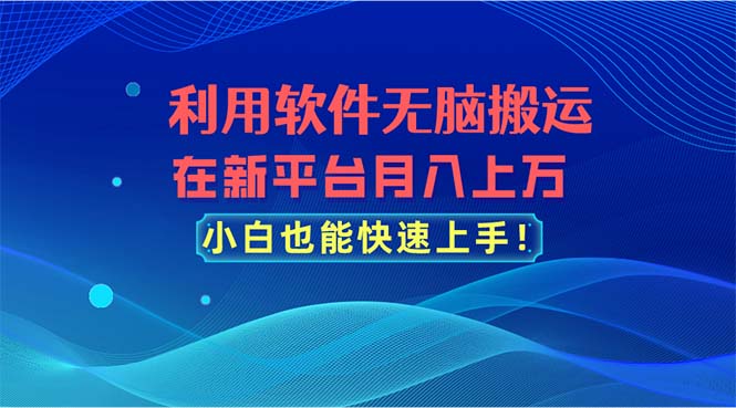 （11078期）利用软件无脑搬运，在新平台月入上万，小白也能快速上手-木木源码网