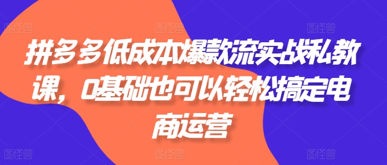 拼多多平台降低成本爆品流实战演练私教，0基本还可以轻松解决网店运营-中赚网_分享中创网创业资讯_最新网络项目资源-木木源码网