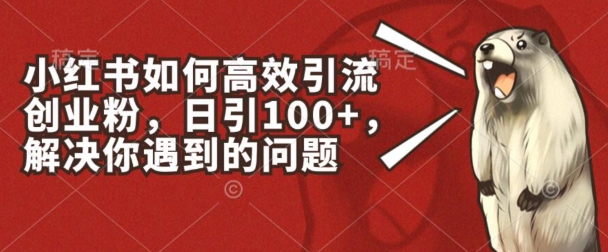 小红书的如何有效引流方法自主创业粉，日引100 ，解决你遇到的困难【揭密】-中赚网_分享中创网创业资讯_最新网络项目资源-木木源码网