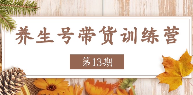 （11275期）养生号-带货训练营【第13期】收益更稳定的玩法，让你带货收益爆炸-木木源码网