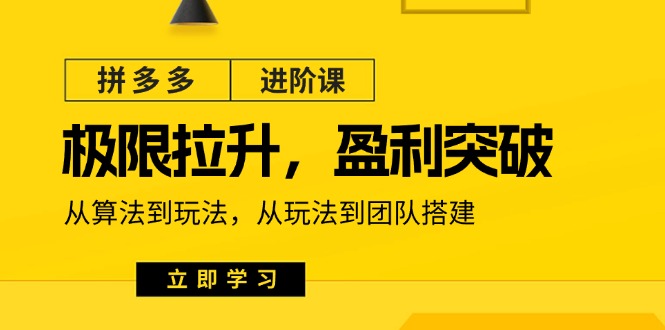 （11435期）拼多多·进阶课：极限拉升/盈利突破：从算法到玩法 从玩法到团队搭建-18节-木木源码网