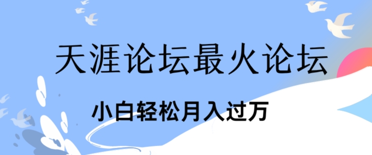 点爆公域运用最红话题讨论天涯社区、新手轻轻松松月入了w-中创网_分享中创网创业资讯_最新网络项目资源-木木源码网