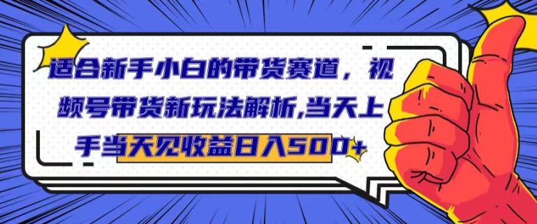 适合新手小白的带货赛道，视频号带货新玩法解析，当天上手当天见收益，日入500+-中创网_分享中创网创业资讯_最新网络项目资源-木木源码网