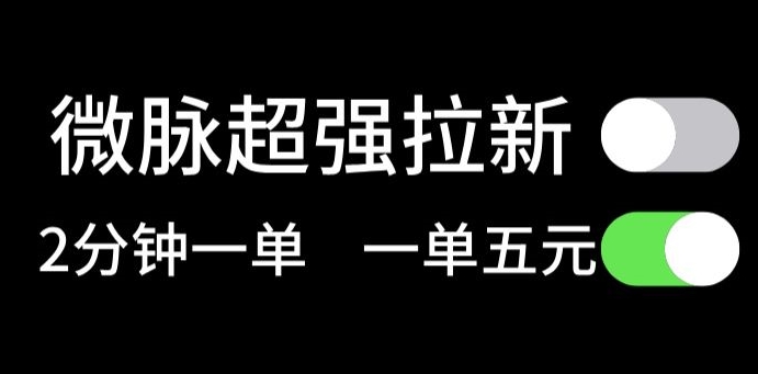 微脉没脑子引流，每一单5元钱，轻轻松松日入三位数-中创网_分享中创网创业资讯_最新网络项目资源-木木源码网