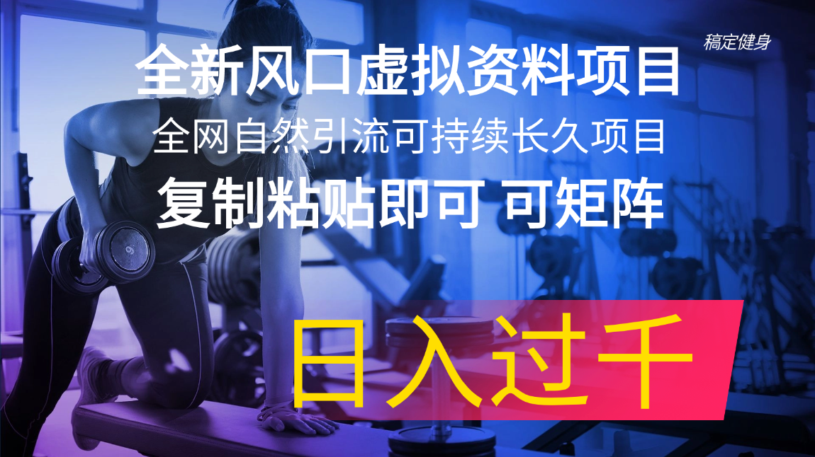 （11587期）全新风口虚拟资料项目 全网自然引流可持续长久项目 复制粘贴即可可矩阵…-木木源码网