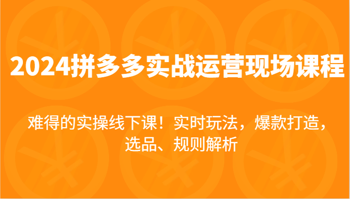 2024拼多多平台实战演练经营当场课，即时游戏玩法，爆款打造，选款、标准分析，不可多得的实际操作面授课！-中创网_分享中创网创业资讯_最新网络项目资源-木木源码网