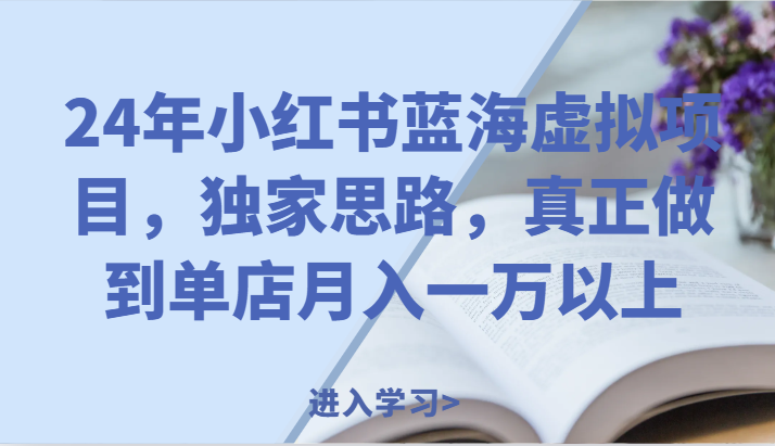 24年小红书的瀚海虚拟资源项目，独家代理构思，充分体现门店月入一万之上。-中创网_分享中创网创业资讯_最新网络项目资源-木木源码网