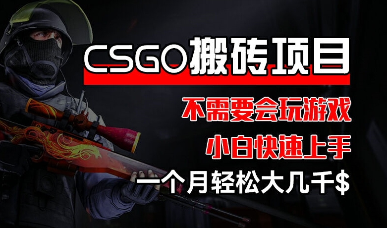 CSGO 装备搬砖项目，操作简单，不需要会玩游戏，小白也能快速上手，一个月轻松大几千【揭秘】-中创网_分享中创网创业资讯_最新网络项目资源-木木源码网