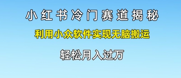 小红书的小众跑道揭密，运用小众软件完成没脑子运送，轻轻松松月入了万-中创网_分享中创网创业资讯_最新网络项目资源-木木源码网