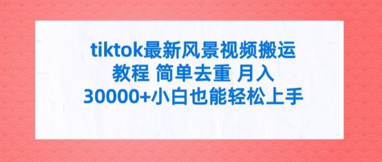 tiktok全新景色视频搬运实例教程 简易去重复 月入3W 新手也可以快速上手【揭密】-中创网_分享中创网创业资讯_最新网络项目资源-木木源码网