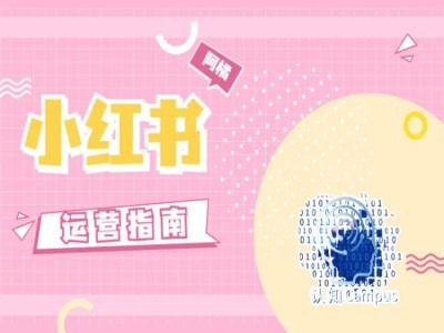 小红书运营指南，没有套路，全是经验-中创网_分享中创网创业资讯_最新网络项目资源-木木源码网