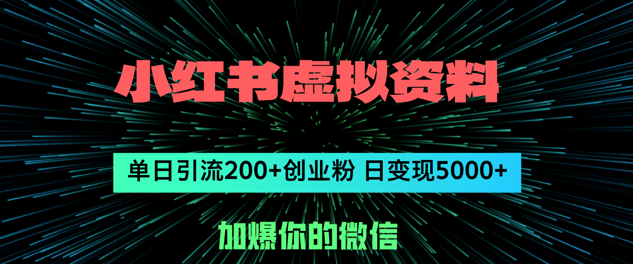 （12164期）小红书虚拟资料日引流200+创业粉，单日变现5000+-木木源码网