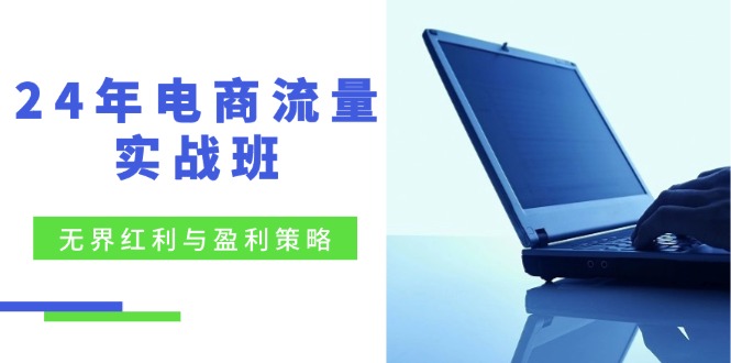 （12168期）24年电商流量实战班：无界 红利与盈利策略，终极提升/关键词优化/精准…-木木源码网