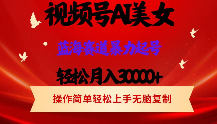 （12178期）视频号AI美女跳舞，轻松月入30000+，蓝海赛道，流量池巨大，起号猛，当…-木木源码网