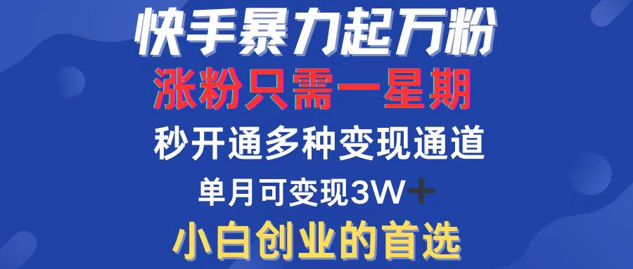 （12651期）快手暴力起万粉，涨粉只需一星期，多种变现模式，直接秒开万合，小白创…-木木源码网